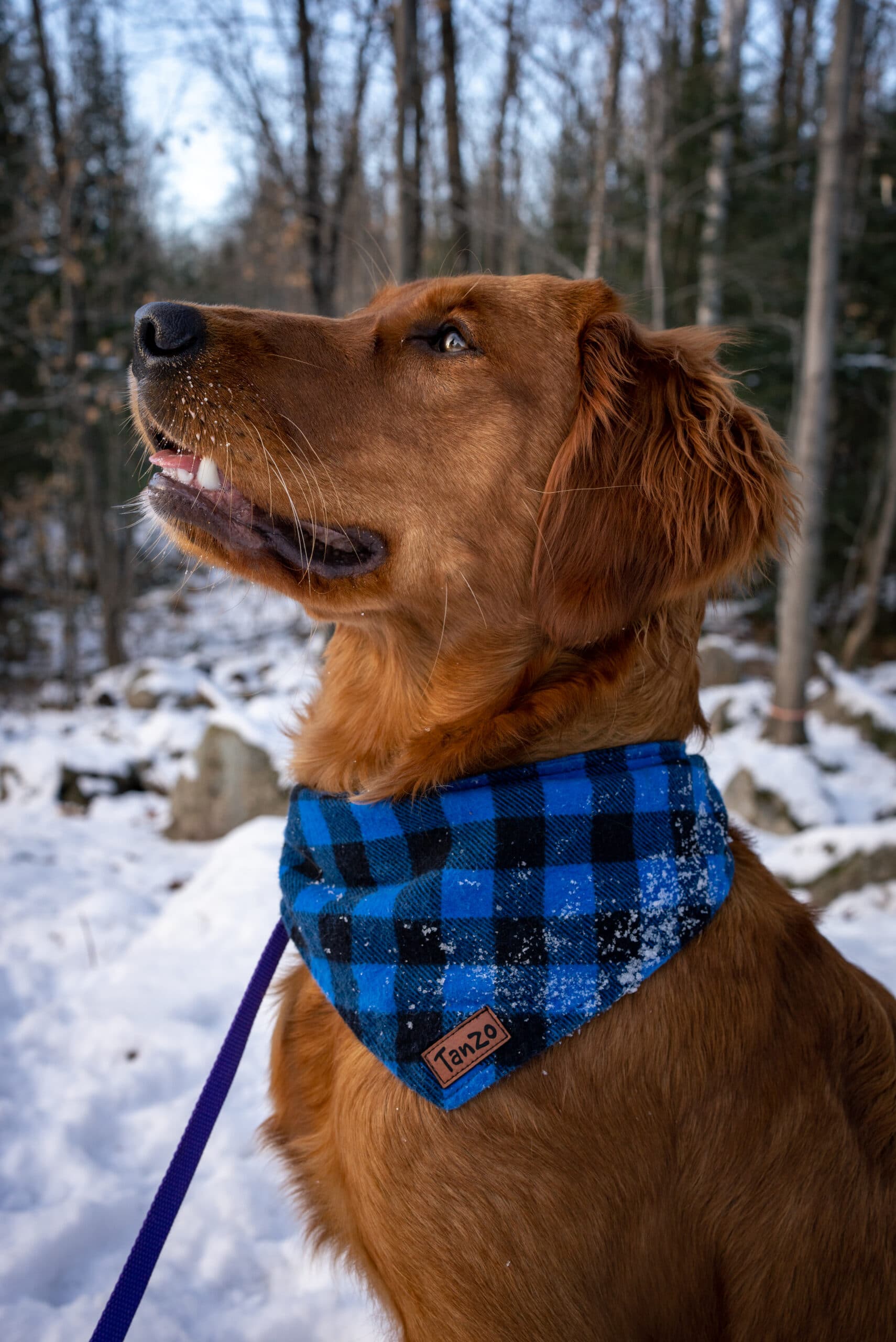 DSC01836-Avec accentuation