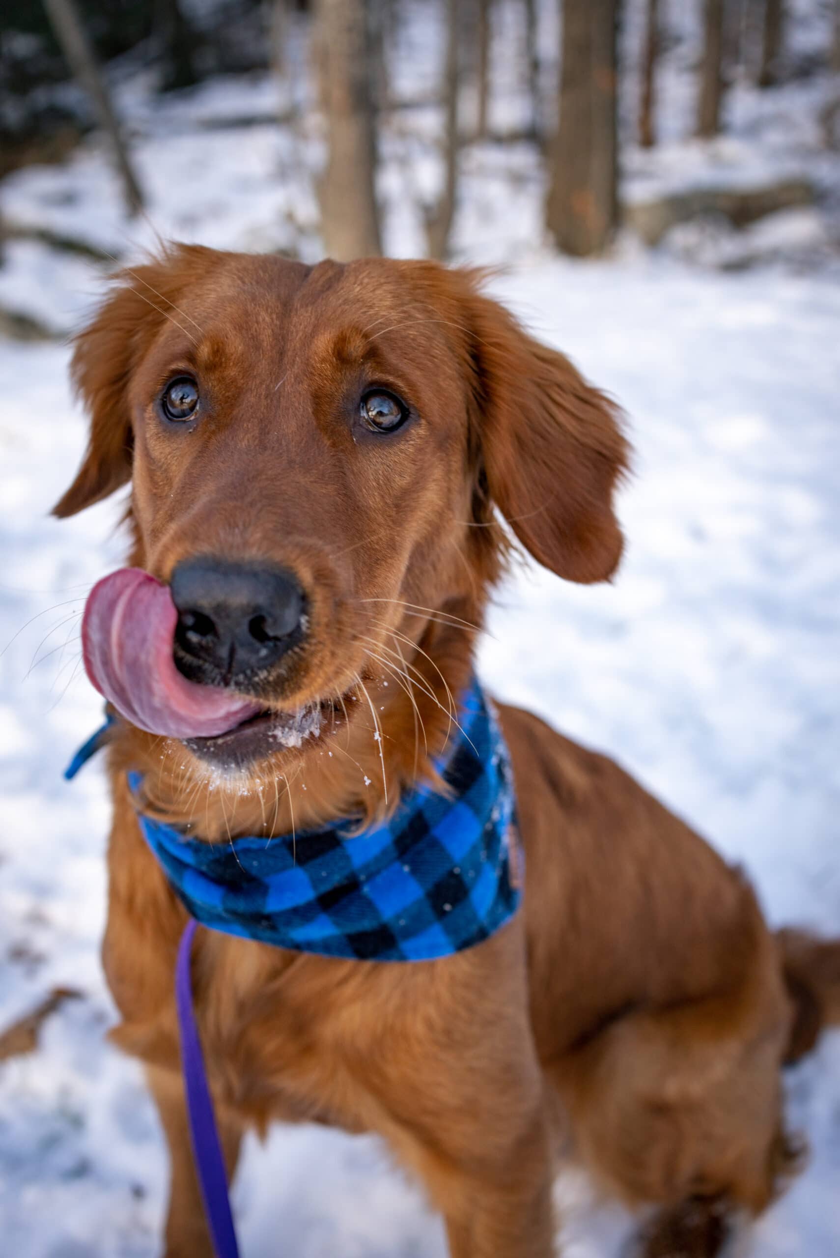 DSC01853-Avec accentuation